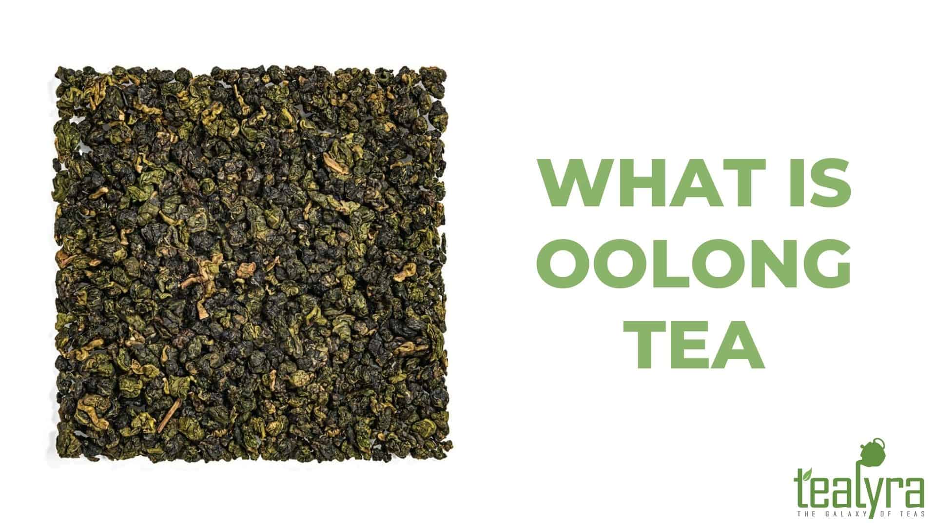 What-is-oolong-tea