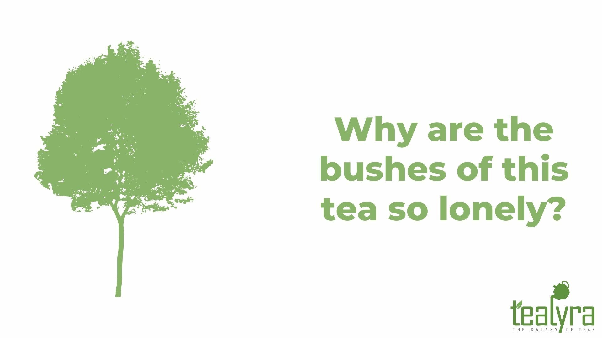 image-bushes-tea