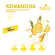 Kombucha-Ananas-Vormischung