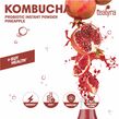 Pré-mélange Kombucha Grenade